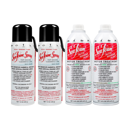 SEAFOAM-MOTORBEHANDLUNG FÜR BENZIN UND DIESEL + SEAFOAM-SPRAY