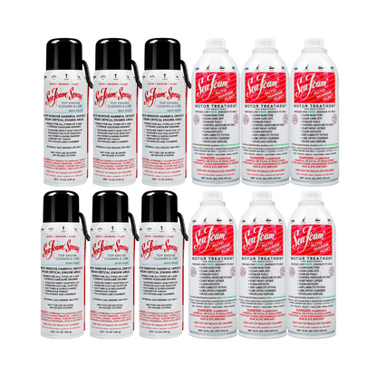 SEAFOAM-MOTORBEHANDLUNG FÜR BENZIN UND DIESEL + SEAFOAM-SPRAY
